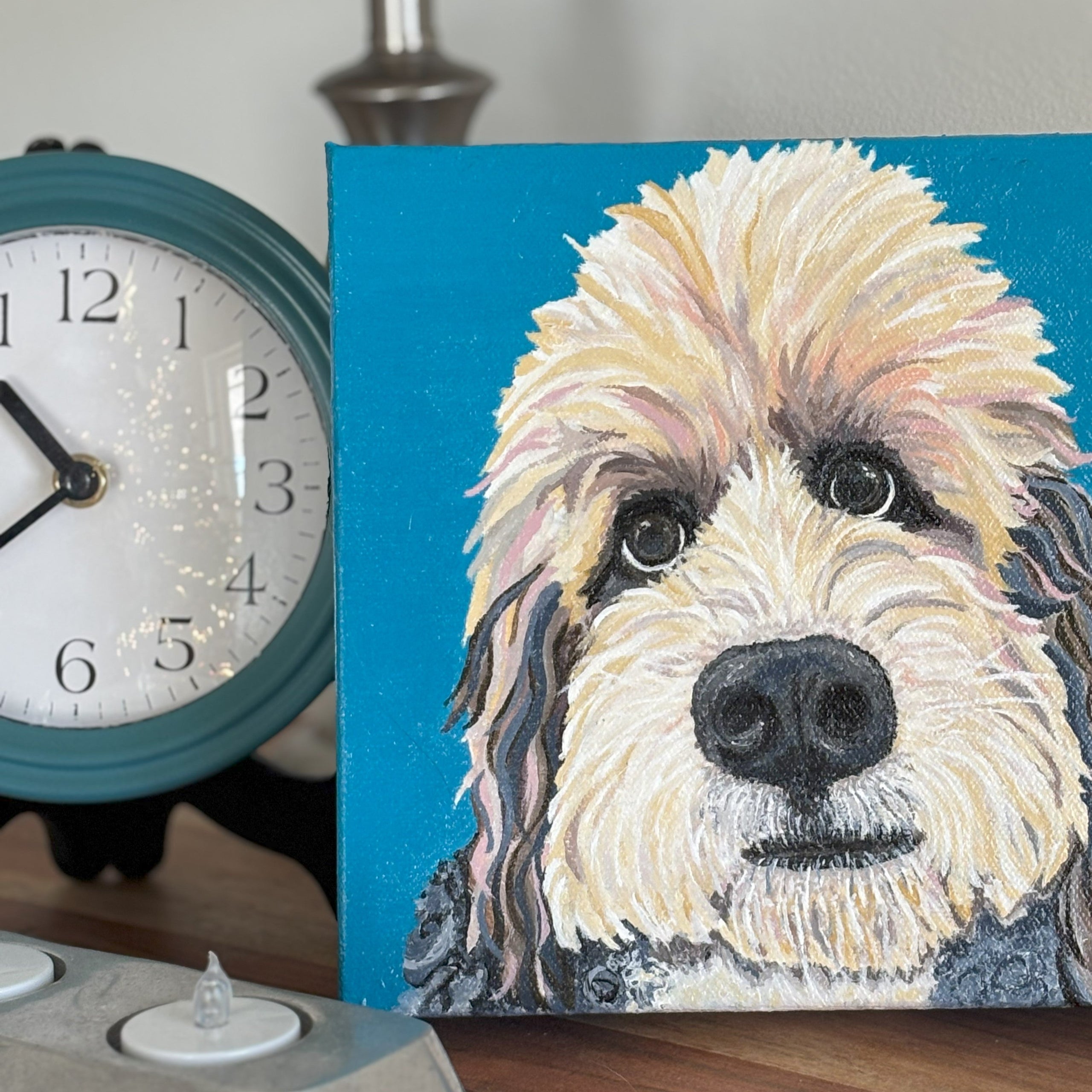 Pet Portraits
